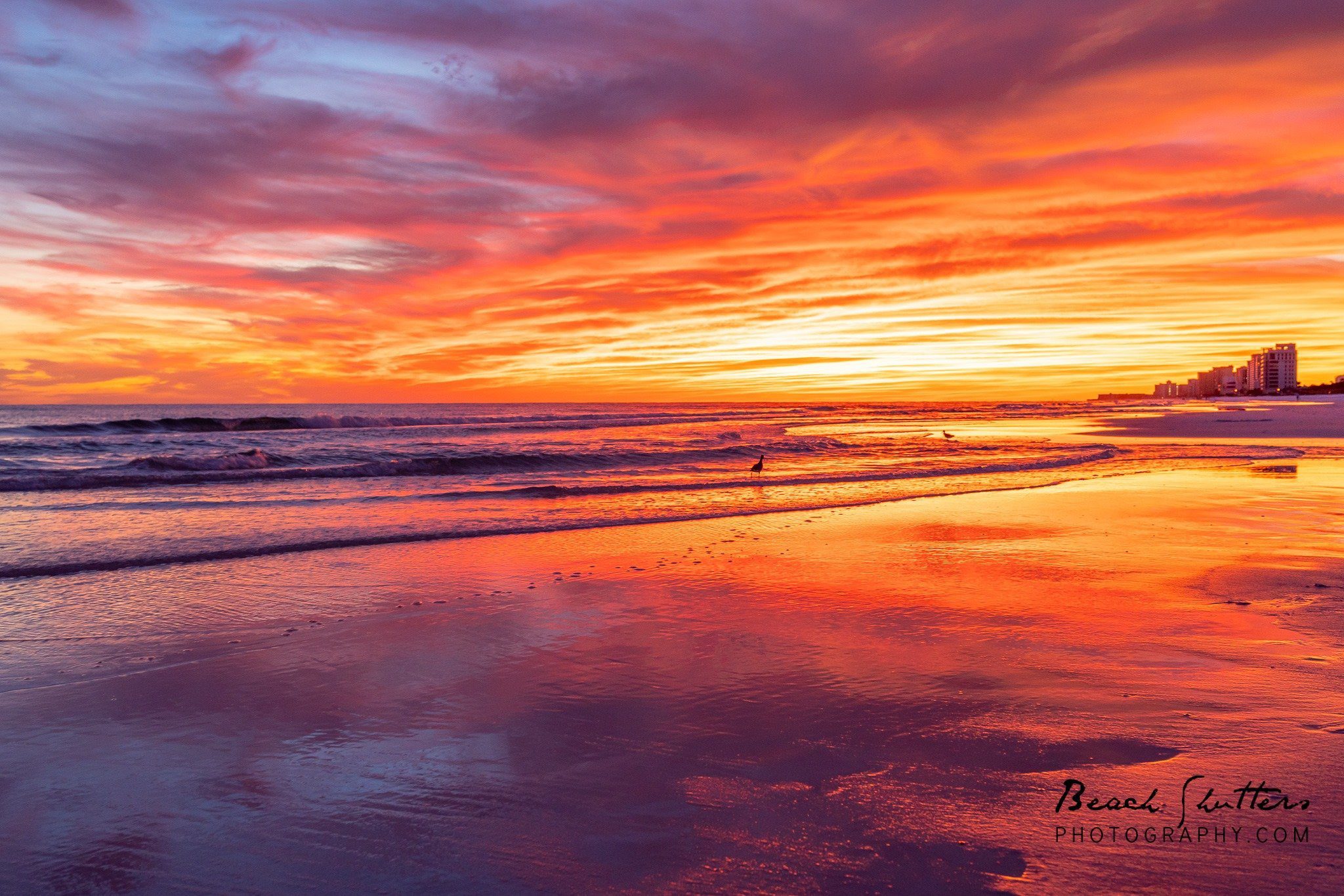 Orange beach Al photographers