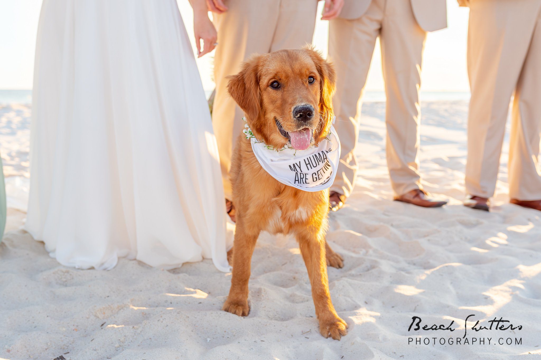 best photographer in Orange Beach