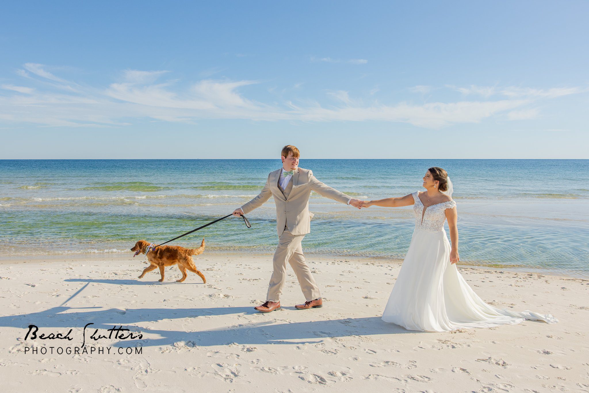 dog at a beach wedding