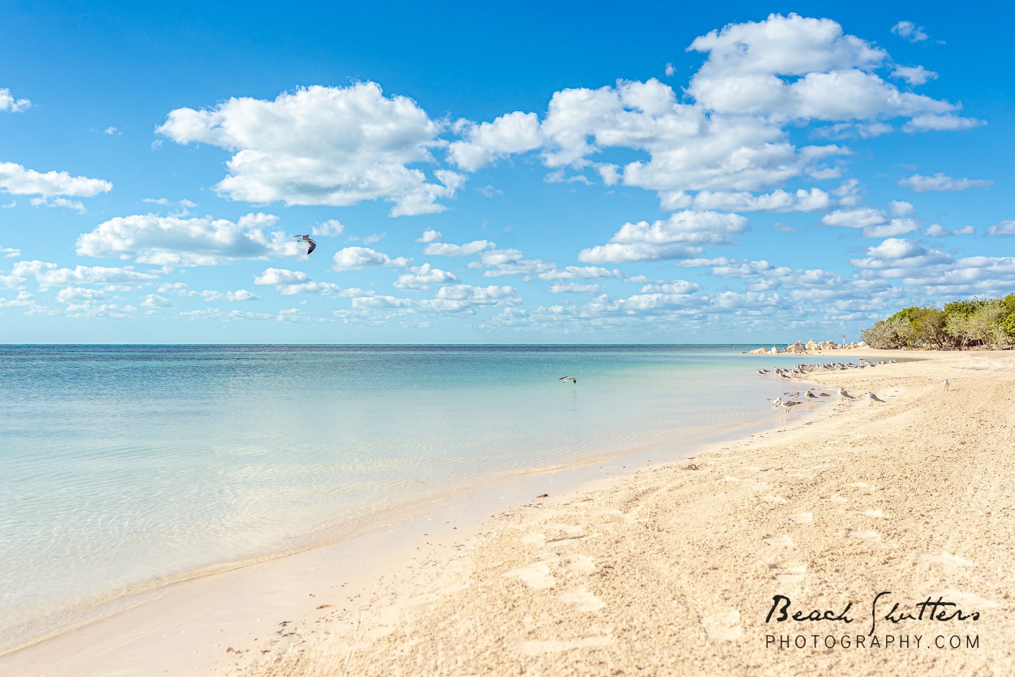 winter in the Florida Keys