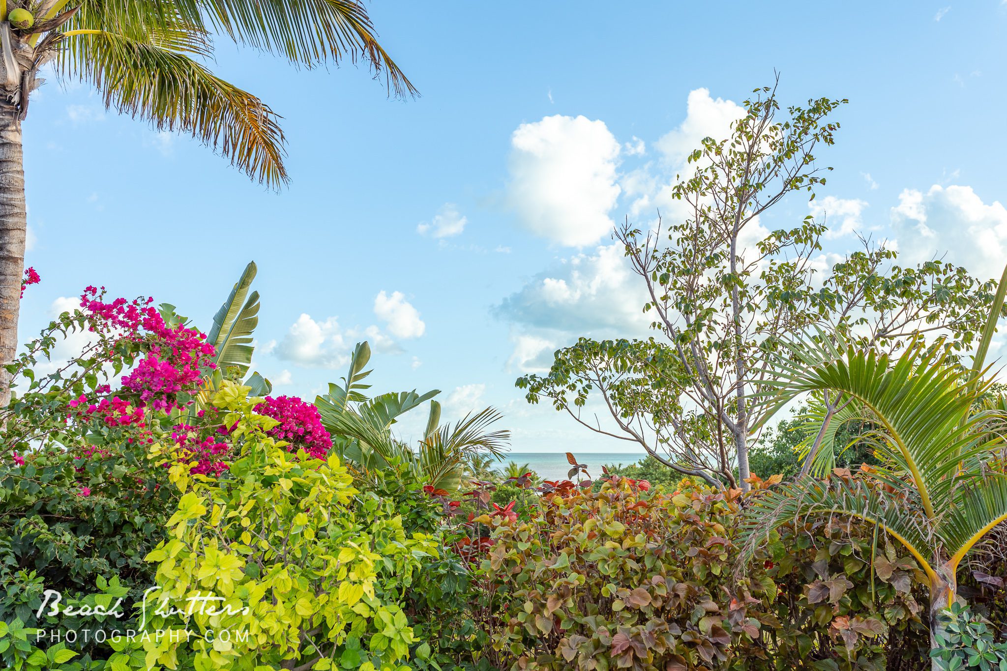 landscape photos Gulf Shores