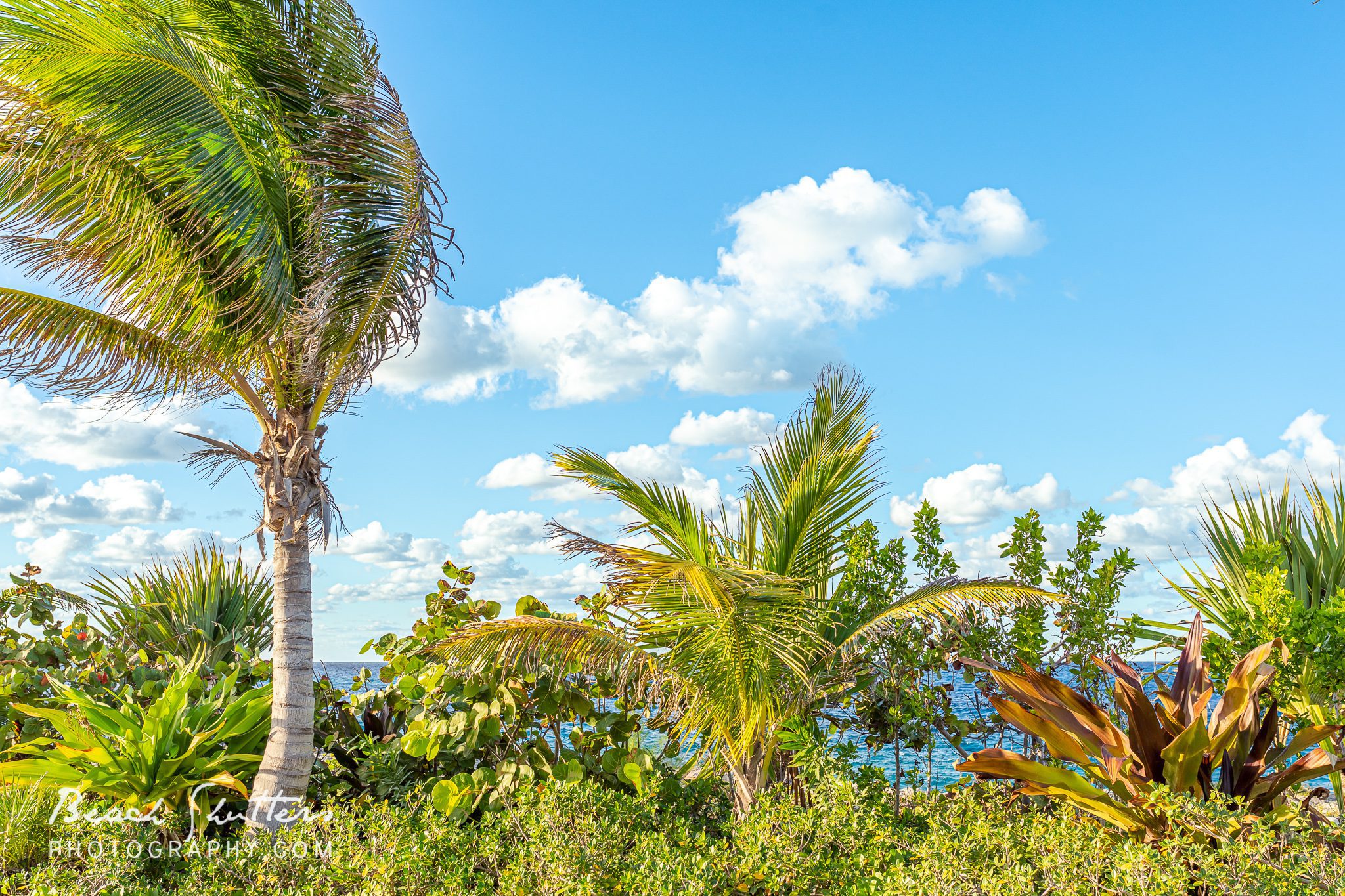 landscape photographers