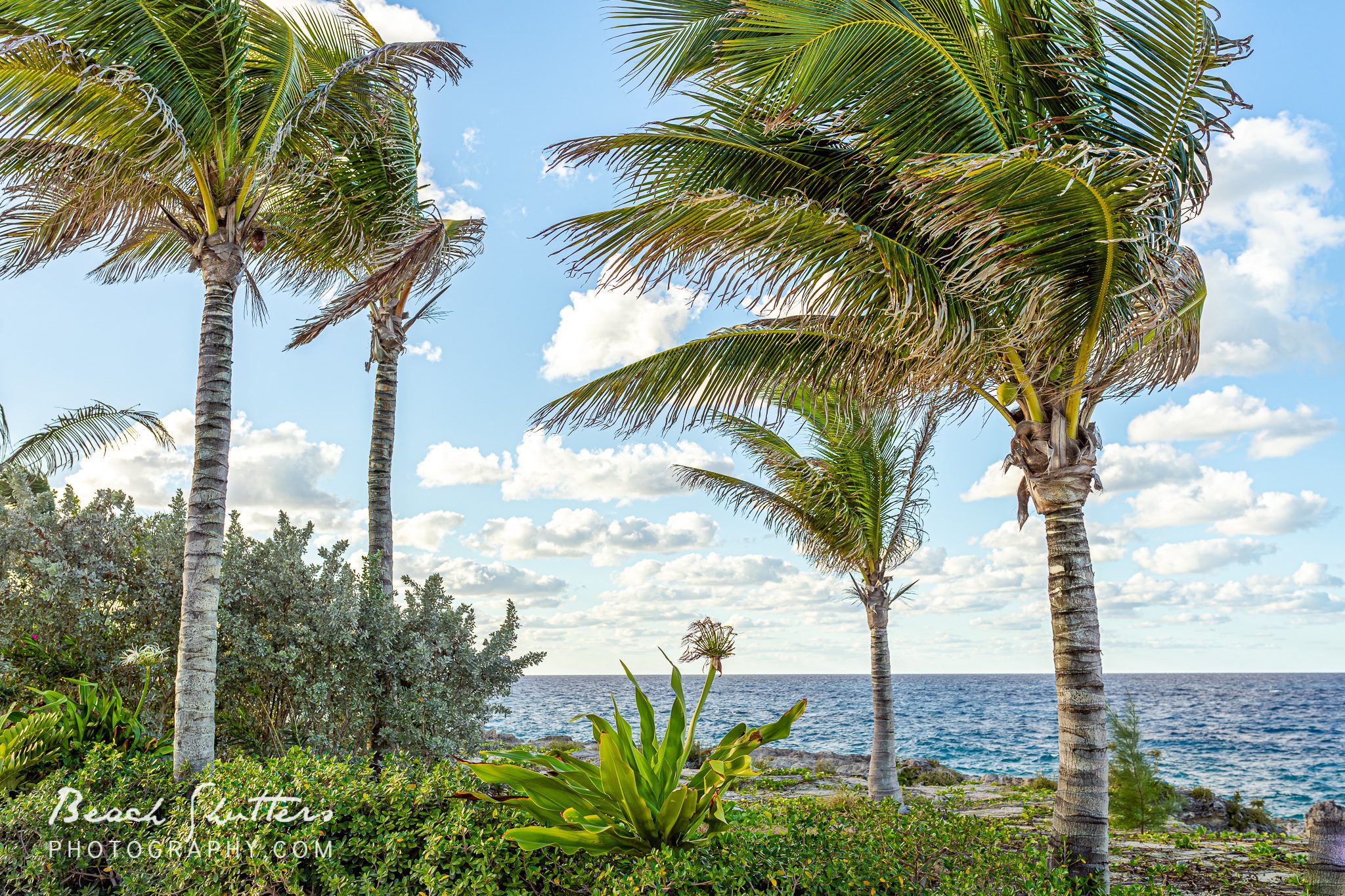 beach photography