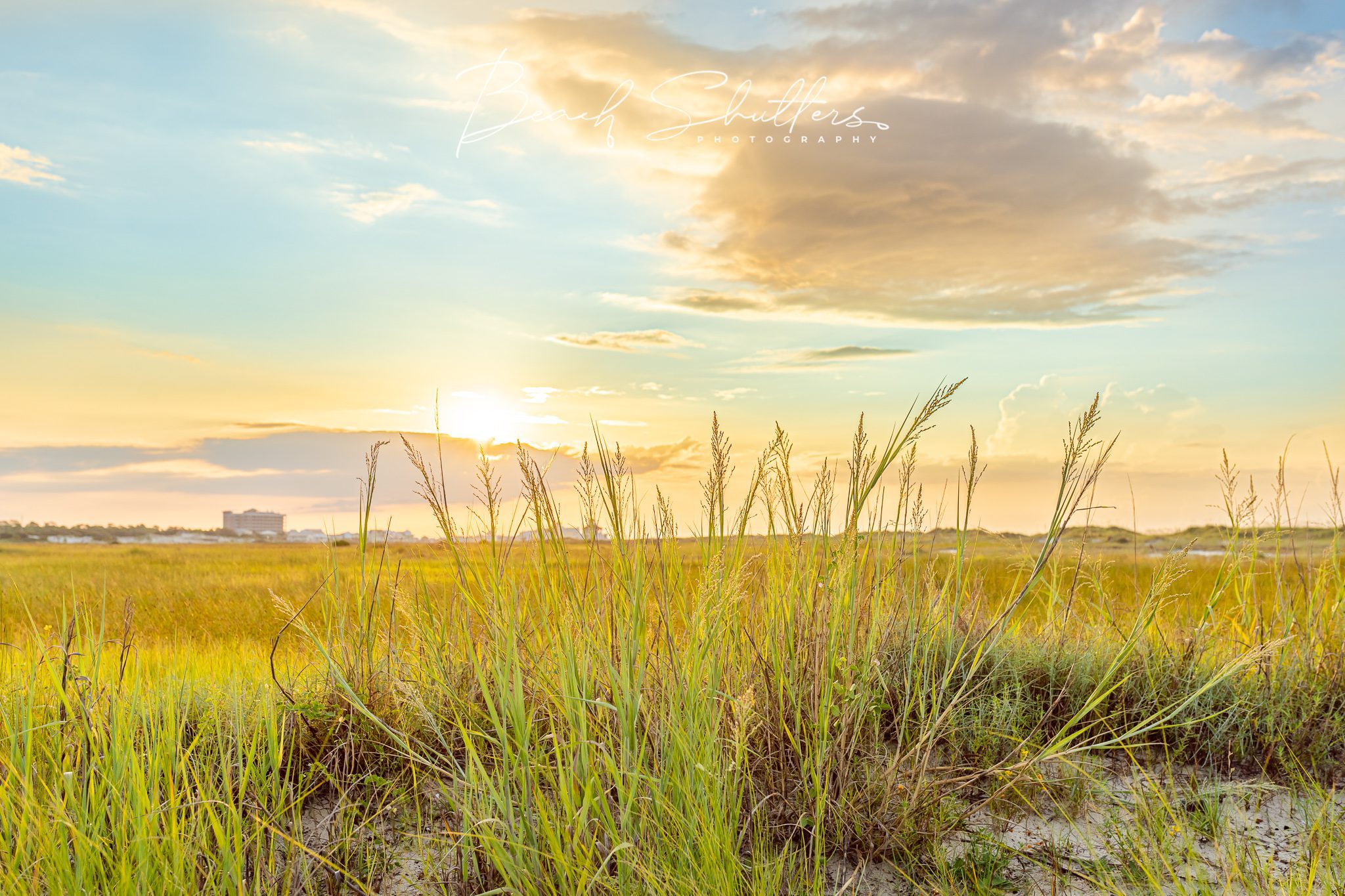dunes in Gulf Shores and Orange Beach